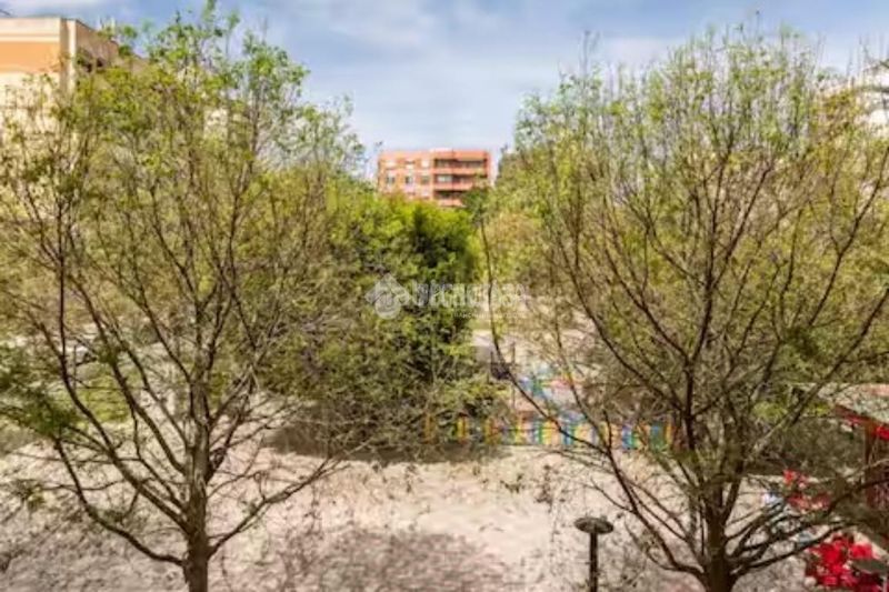Foto d78b67e3-f102-4fe1-9f43-21732f521eab. Pis a Benalúa Alicante