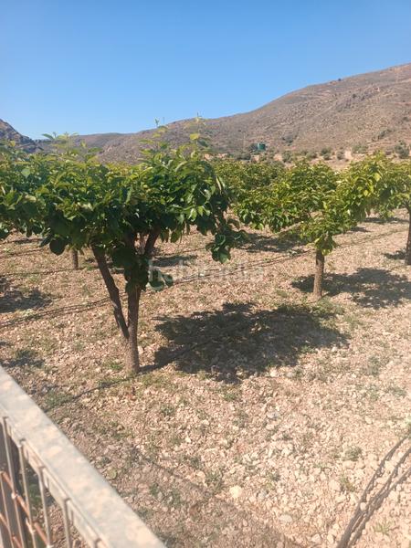 Foto 33448923-17ec-4e5a-a92e-3eeb2a45d9f8. Fondo rustico in Ejido Norte Ejido (El)