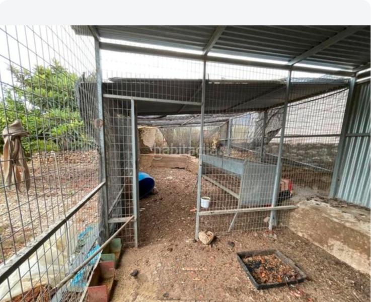 Foto 37d19f54-b349-4a15-9f1b-ff2321bb3eaf. Fondo rustico in Ejido Norte Ejido (El)