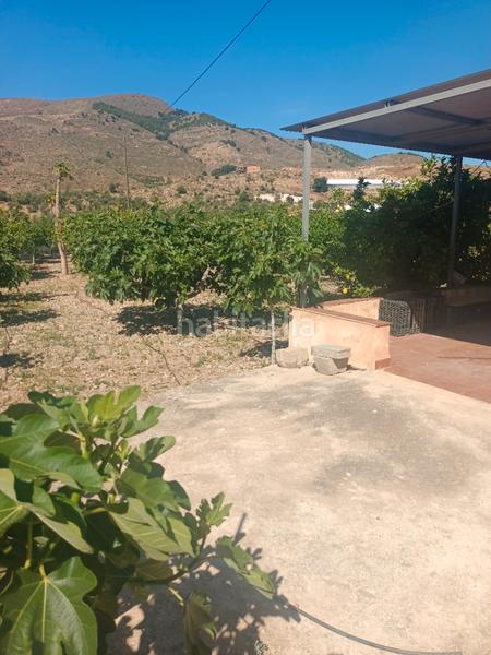 Foto daa32c2e-d622-4e34-863c-111674f4079d. Finca rústica en Ejido Norte Ejido (El)