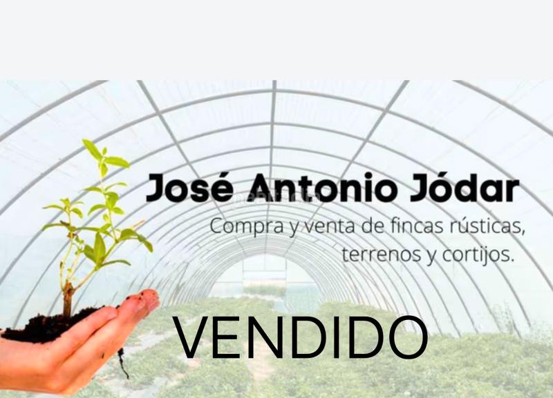 Foto ac27d722-86f4-43db-ab40-e94cd1cd506c. Finca rústica en Plaza de la Luz Ejido (El)