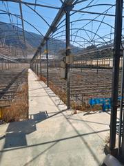 Rural plot in Balerma