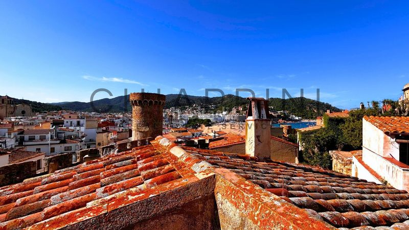 Foto a8771c0c-fcbc-488c-b029-fe594767e951. Masia amb calefacció a Tossa de Mar Tossa de Mar