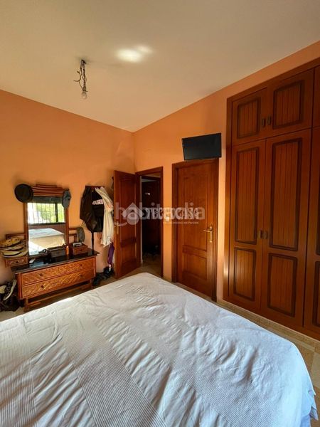 Foto b2e5e4dd-ab46-4c74-9ab8-841109f52fe9. Casa amb calefacció a Carmona