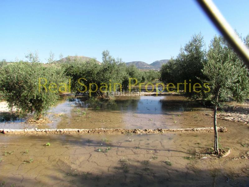 Foto bf5a7a16-02ac-450e-b2f7-fec05f4f4795. Masia a Vélez - Rubio