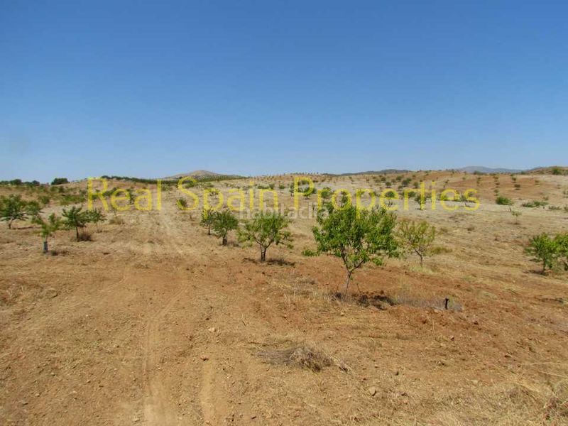 Foto a4c4b7e4-c9c1-416f-bbb5-003590818575. Country house in Vélez - Rubio