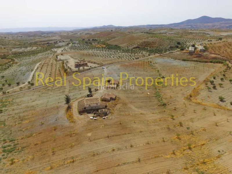 Foto ba139758-dcd2-4453-9830-63290b5d7d57. Country house in Vélez - Rubio