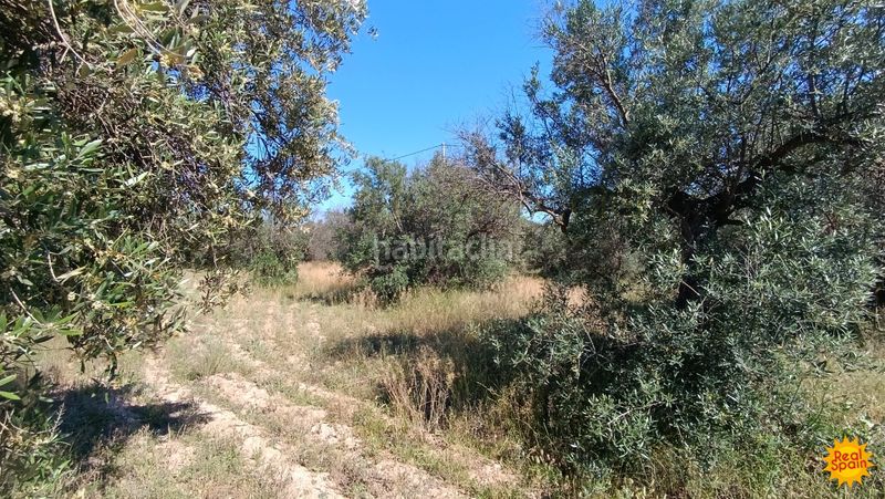 Foto 5ece9103-65f0-4b04-9077-66c08008bc8c. Mas dans Vélez - Rubio