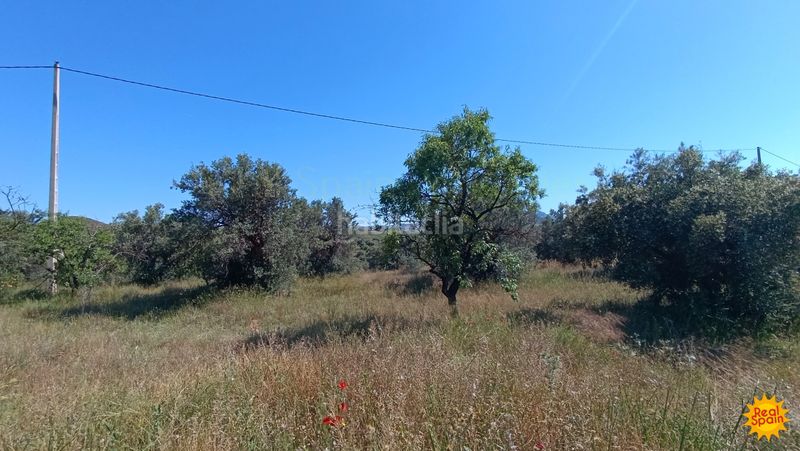 Foto d23ee260-730f-42d2-a5fe-7fb0a8ed93fd. Mas dans Vélez - Rubio