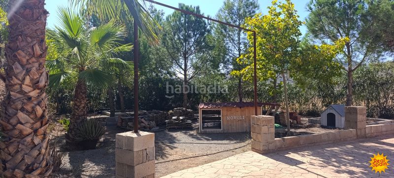Foto 8024bbaa-f292-4a3e-9eb5-8830fcd35966. Bauernhof in Nogalte Lorca