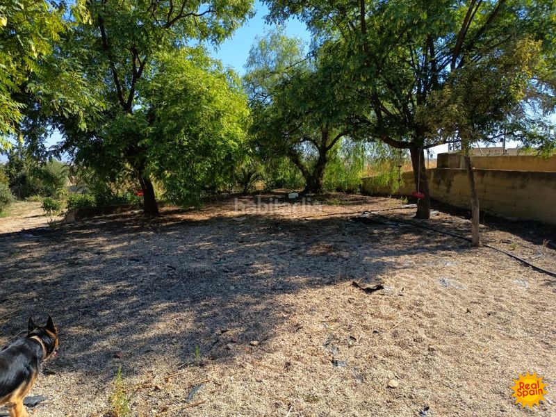 Foto 79a1d86f-c18c-40b9-b64b-e7f89d52f802. Mas avec piscine dans Parrilla Lorca