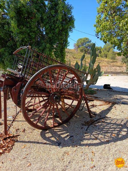 Foto aa43789f-2b2a-4810-a373-1588f6659987. Mas avec piscine dans Parrilla Lorca