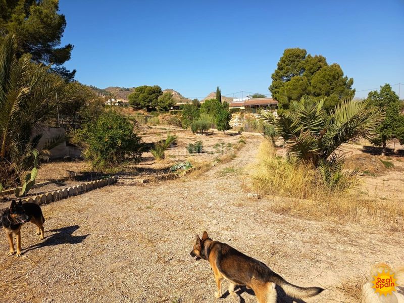 Foto b5d875c2-b9f1-4cdd-897f-4ca2432f1608. Mas avec piscine dans Parrilla Lorca