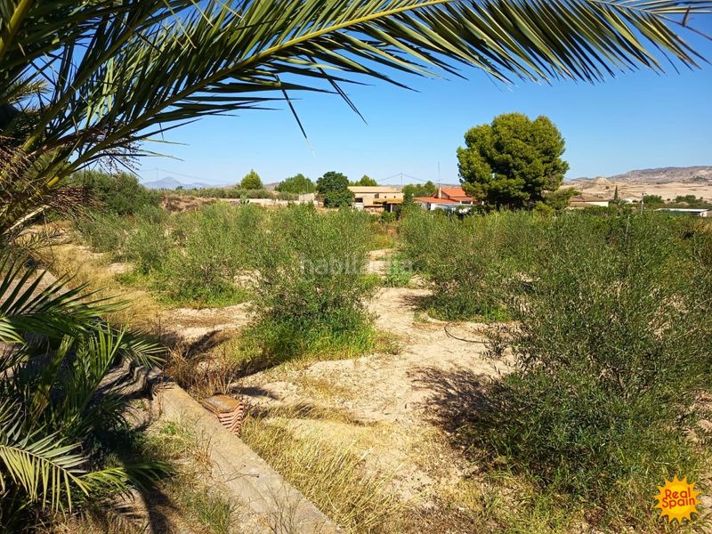 Foto f3db4293-7a4f-4e6c-8365-a3491f41c90b. Mas avec piscine dans Parrilla Lorca