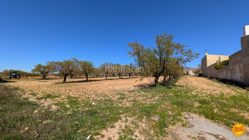 Foto ba24e9f6-d201-4608-854a-0b2492e0e840. Terreny residencial a Chirivel