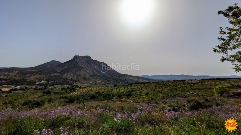 Foto 09ff2569-2848-4f6b-8e76-f745702f850a. Masia a Vélez - Blanco