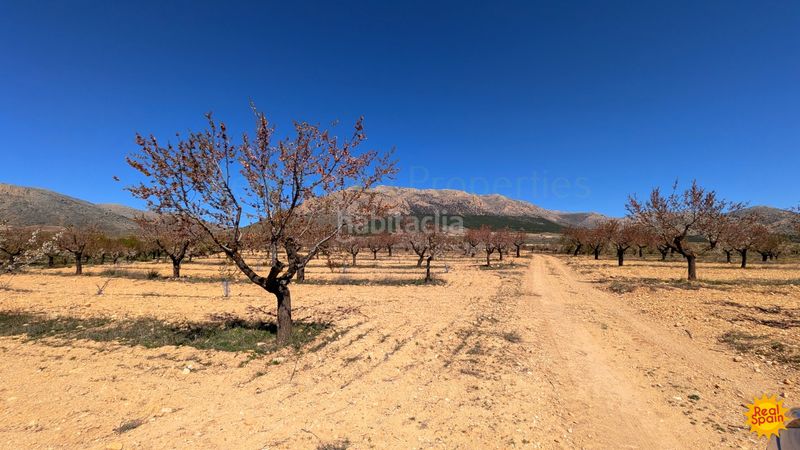 Foto 5c63c9b3-22ce-4caf-82d6-b0bd8f5d9fca. Terreny residencial a Chirivel