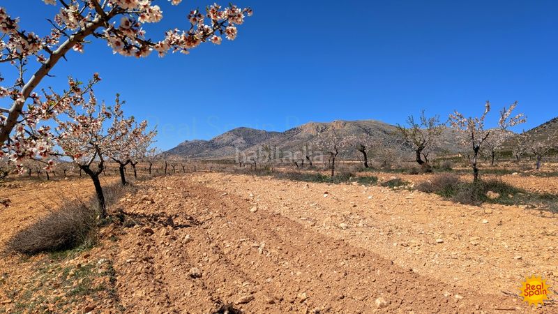 Foto aa6fca6d-f317-4e22-b93c-9269b8055f6f. Terreny residencial a Chirivel