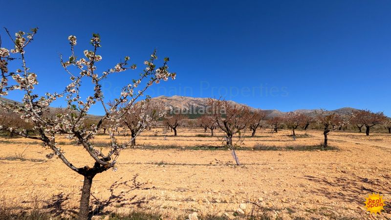 Foto f00d5ac3-136a-4abb-a75c-df7f1b360767. Terreny residencial a Chirivel