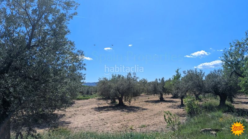 Foto 31154d84-ffc5-4a72-b4bc-9ade5ae8b5d0. Masia a Vélez - Blanco