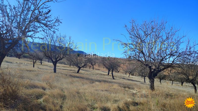 Foto 11f72698-553c-44fc-bdd3-a164817207ec. Masía en Vélez - Rubio
