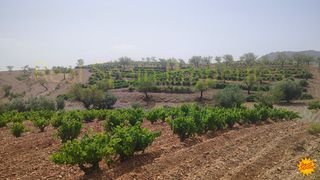 Terreno residencial en Vélez - Rubio