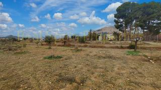 Country house in Vélez - Rubio