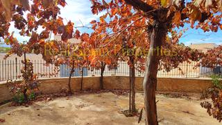 Semi detached house in Vélez - Rubio