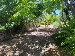 Country house in Vélez - Blanco