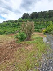 Finca rstica en Mendigorria. Terreno en venta en mendigorria