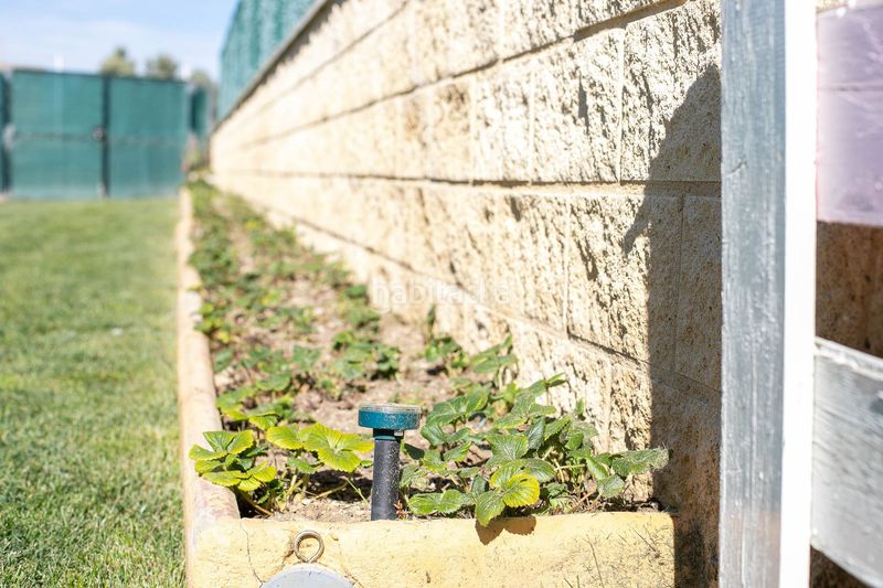 Foto abe55895-0d21-4f81-9cc3-e6774071d668. Finca rústica a Mendigorria