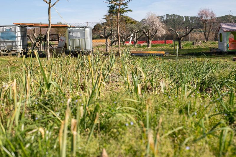 Foto 9ea8cdf2-dc15-4274-b1d0-59ce0133198e. Casa a Mendigorria