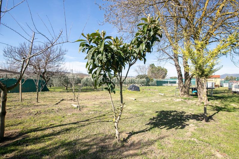 Foto c49e0cd6-242f-4e1d-ab5b-eaefa78c041b. Casa a Mendigorria