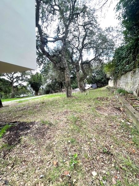 Foto 04715e45-4582-41a4-8c64-5a32f3647708. Casa amb xemeneia calefacció aparcament a Palafolls