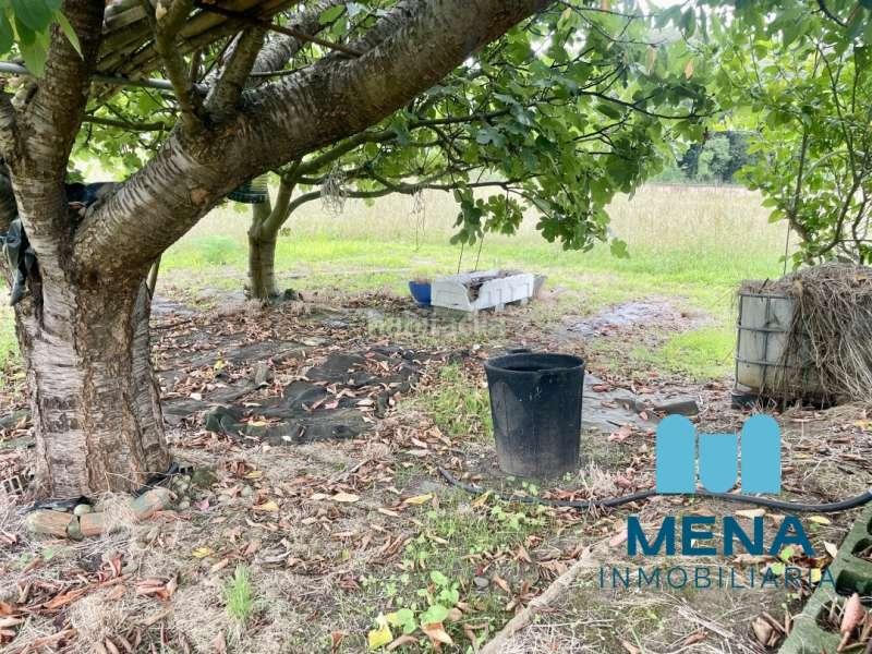 Foto 180fe960-1e24-4507-a2be-2a913f710666. Landgut in Maoño - Azoños Santa Cruz de Bezana