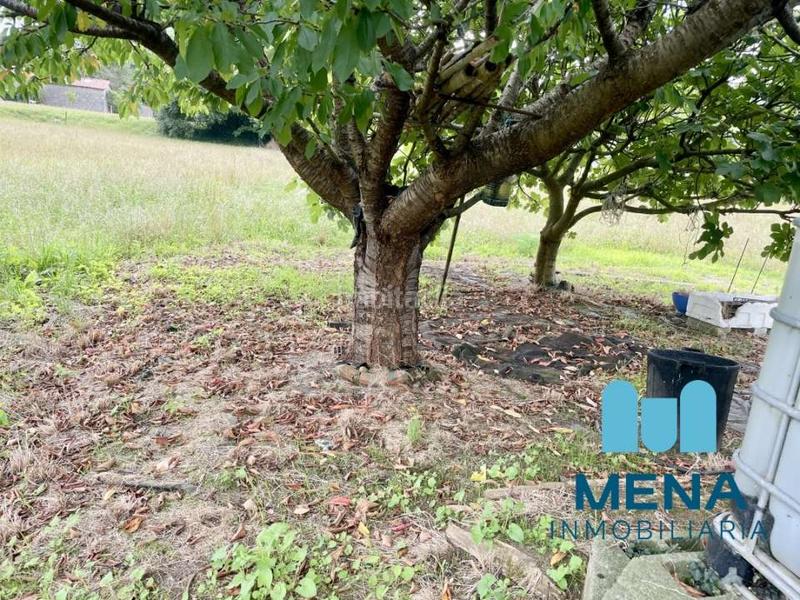 Foto 2df25f59-8d2d-469a-b5d4-68a1c9519e75. Landgut in Maoño - Azoños Santa Cruz de Bezana