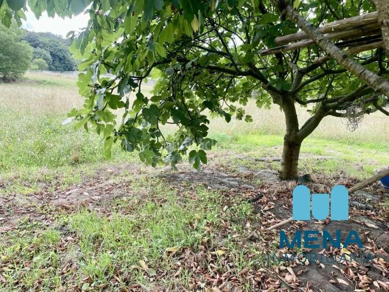 Foto 5139d8f0-fb9b-4bcf-b6cc-753198d6a1b1. Landgut in Maoño - Azoños Santa Cruz de Bezana