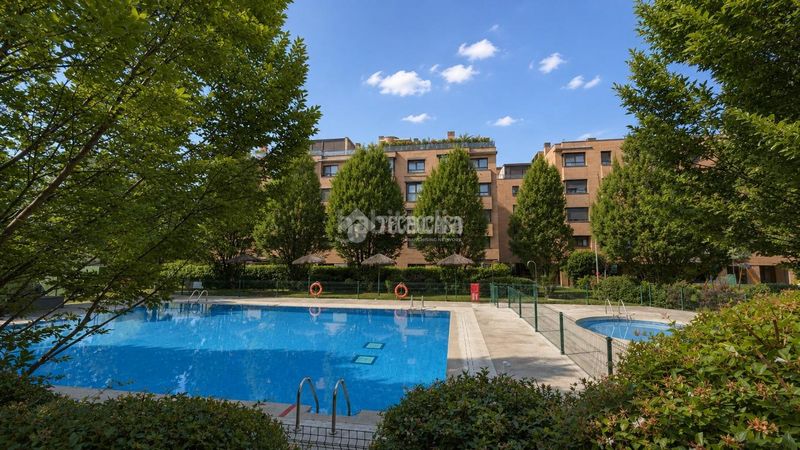 Foto dcff7838-9a62-4ebb-93ce-821b5f3cb871. Pis amb piscina a Montecarmelo Madrid