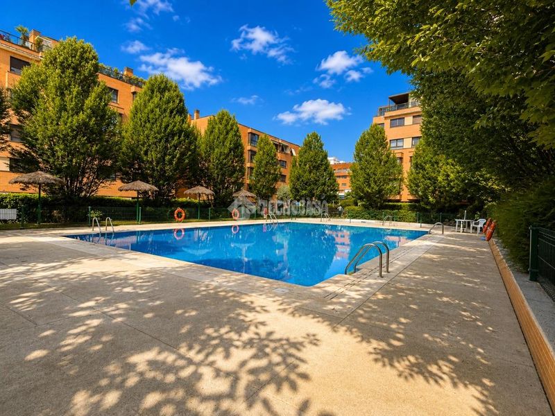 Foto e4e02f70-f320-4f39-930e-96703f9a41e0. Pis amb piscina a Montecarmelo Madrid