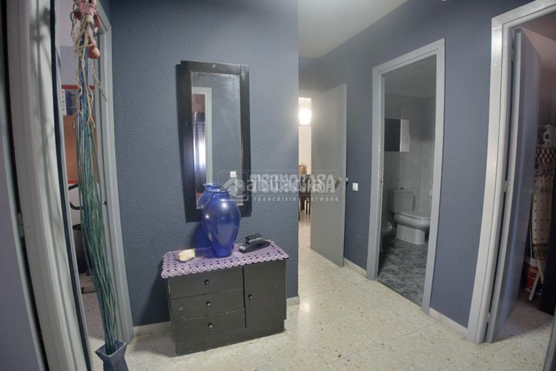 Foto 41f221e1-c0c2-4b74-b440-7449dc9a54b2. Pis a Santa María del Águila Ejido (El)