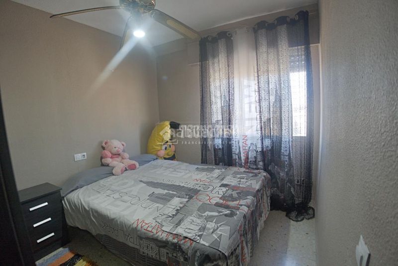 Foto 561fbadd-f0a3-4d28-8a9a-6da1c86fe092. Pis a Santa María del Águila Ejido (El)