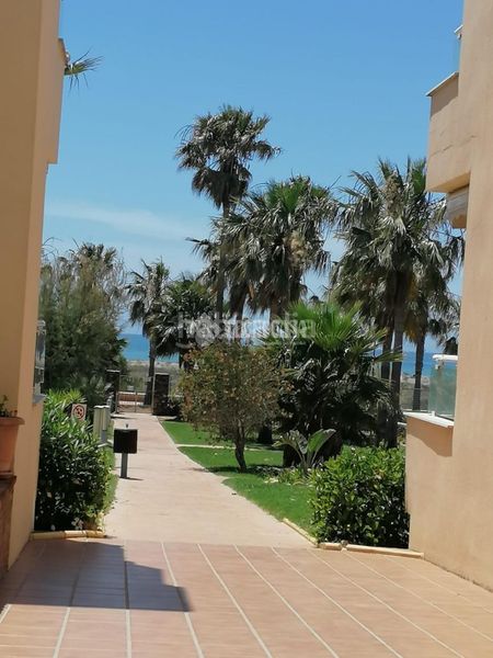Foto 76d1ffde-e70d-4826-9b9f-d324aca7d48f. Rent flat in Almerimar Ejido (El)