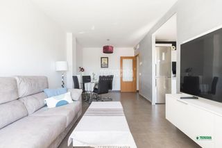 Pis a Nueva Almería - Cortijo Grande - Vega de Acá