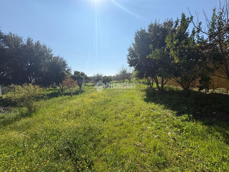 Foto df2d9e78-c1c1-4563-9574-d193d8a780ab. Finca rústica a Táliga