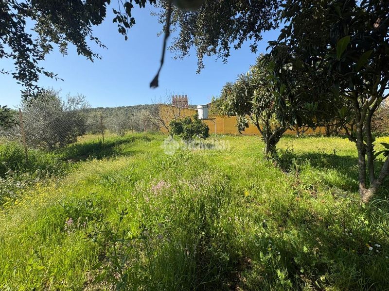 Foto e67301e8-2c4b-4412-966f-e99978e1d1f8. Finca rústica a Táliga