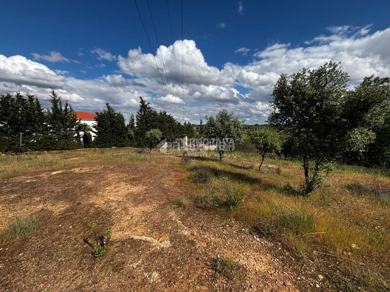 Foto 1d0bd5b3-60b7-4a77-8816-b24139b73042. Masia a Carretera de Sevilla - Los Montitos Badajoz