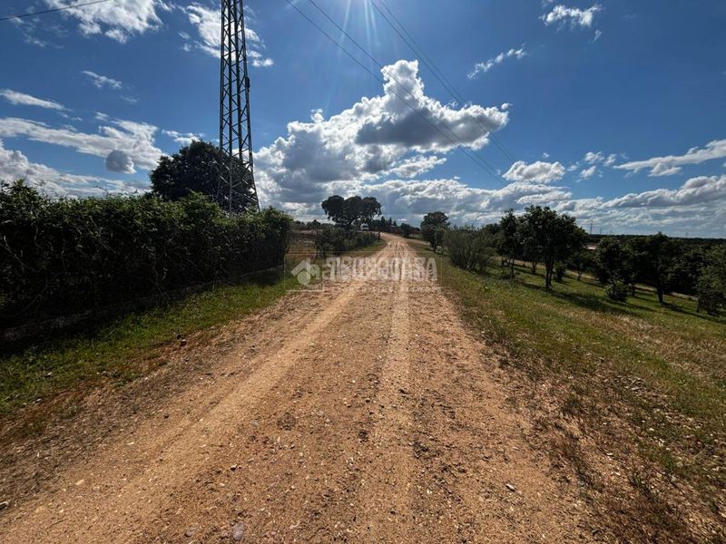 Foto a4751c7a-3c59-45b4-9305-fb01abce8a41. Masia a Carretera de Sevilla - Los Montitos Badajoz