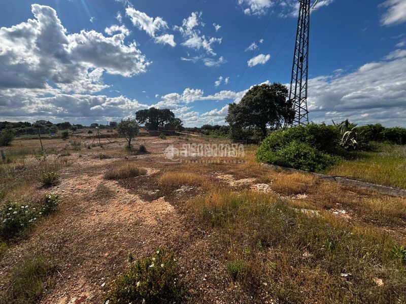 Foto a511194f-6c14-45c5-a1a5-71641d413c8b. Masia a Carretera de Sevilla - Los Montitos Badajoz