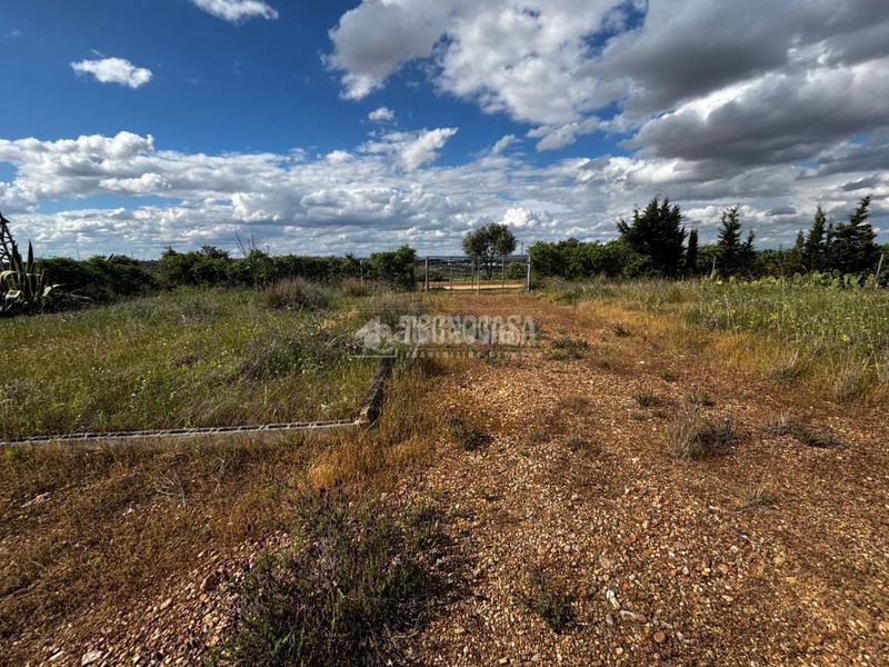 Foto c5ecf6ab-bea6-4676-a97e-079be0771269. Masia a Carretera de Sevilla - Los Montitos Badajoz