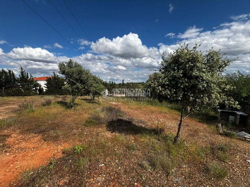 Foto f4dbef48-6ef8-4b59-8525-cb1c7900f8b4. Masia a Carretera de Sevilla - Los Montitos Badajoz